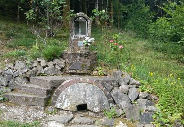 Tour Wandern Masevaux-Niederbruck - niederbruck lochberg circuit - Photo