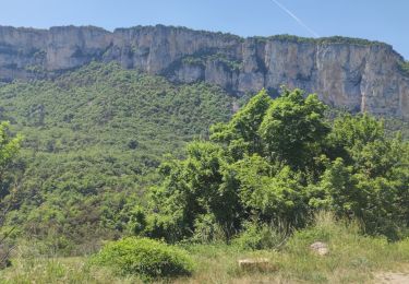 Trail Walking Le Chaffal - Rando Ombleze (Vercors) - Photo