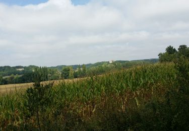 Trail Walking Monflanquin - La balade de Monflanquin  - Photo
