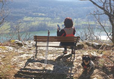 Excursión Senderismo Lissac-sur-Couze - la vierge de fornet - Photo