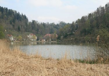 Percorso A piedi Bourrignon - Bourrignon - Lucelle Douane - Photo