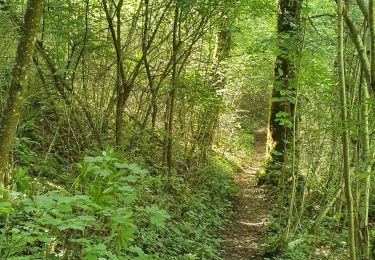 Trail Walking Bouilland - RA Bouilland - Photo