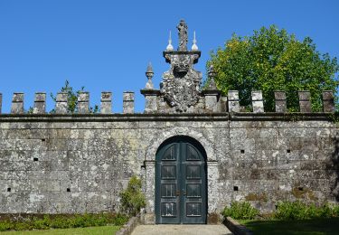 Tocht Te voet Antas - Caminhos da Fé - Belinho - Photo