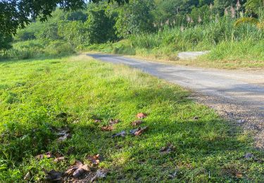 Tocht Trail Sainte-Anne - Liard saint Robert  - Photo