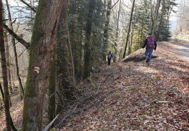 Trail Walking Confolent-Port-Dieu - Confolent et Monestier - Photo