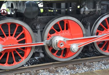 Tocht Te voet Dachsen - Mettli - EW Rheinau Wehrbrücke - Photo