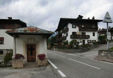 Tocht Te voet Lorenzago di Cadore - IT-207 - Photo