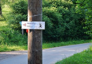 Tocht Te voet Göppingen - Eislinger Rundwanderweg Nord E2 - Photo