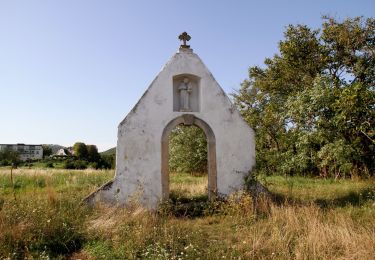 Tocht Te voet Gemeinde Purbach - Purbach - Donnerskirchen - Wilder Jäger - Photo