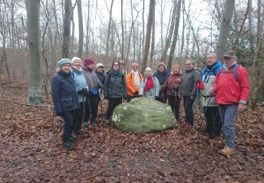 Tour Wandern Fontainebleau - Belle-croix 27 janvier 2023  - Photo