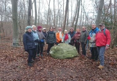 Trail Walking Fontainebleau - Belle-croix 27 janvier 2023  - Photo