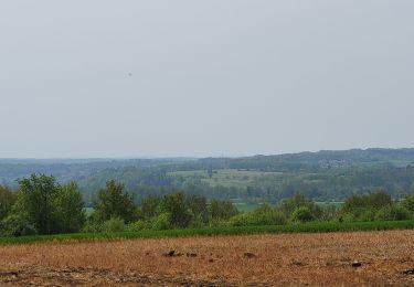 Excursión Bici eléctrica Saint-Clément - sortie vtt 1er mai 2024  - Photo