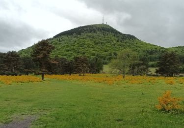 Excursión Senderismo Orcines - Tour des boucles des Domes - Photo