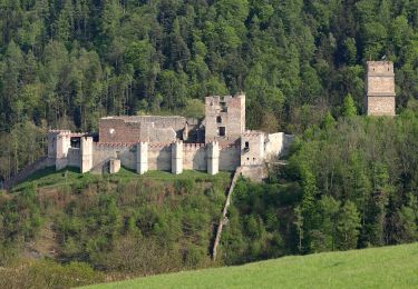 Percorso A piedi Gemeinde Kirchschlag - Rundwanderweg D9: Wetterkreuzweg (Kirchschlag in der Bucklingen Welt) - Photo