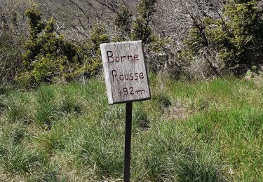 Tour Wandern Marsanne - marsanne-borne rousse 08-04-2025 - Photo