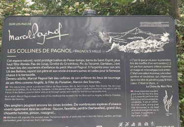 Trail Walking Marseille - La Treille - Photo