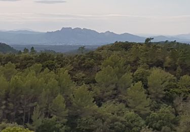 Percorso Marcia Bagnols-en-Forêt - FREJUS - BARRAGE DE MALPASSET DEPUIS COL DE LA GARDIETTE - Photo