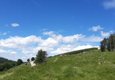 Randonnée Marche La Bresse - kastelberg-altenweiher 20240708 - Photo