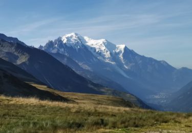 Trail Walking Chamonix-Mont-Blanc - CHAMONIX ... Col de Balme & Aiguillettes des Posettes. - Photo