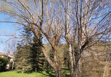 Trail Walking Gap - Circuit de Pyumaure. 05/04/20. - Photo
