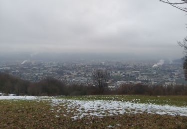 Randonnée Trail Eybens - Le Mûrier - Photo