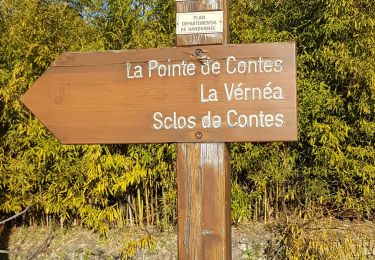 Trail Walking Blausasc - sclos de contes - Photo