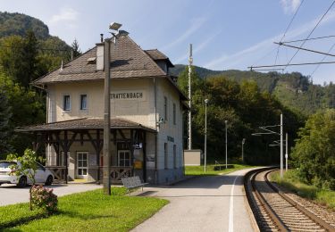 Excursión A pie Ternberg - Wanderweg 33 - Photo