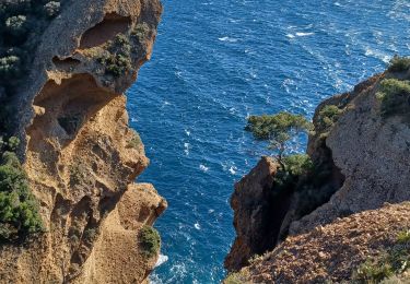 Randonnée Marche La Ciotat - Falaise La Ciotat - Mugel - ND de la Garde - Ste Frétouse - Photo