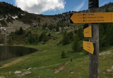 Tour Wandern Seyne - dormillouses...au col bas 04 - Photo