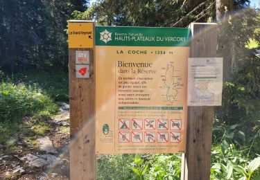 Tour Wandern Saint-Agnan-en-Vercors - le grand veymont - Photo