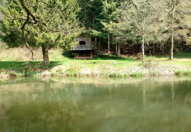 Trail Running Büllingen - Haus der Stille - Photo