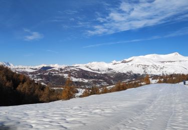 Tocht Sneeuwschoenen Roubion - Raquettes-Pommier-Giarons ( Couillole)  - Photo