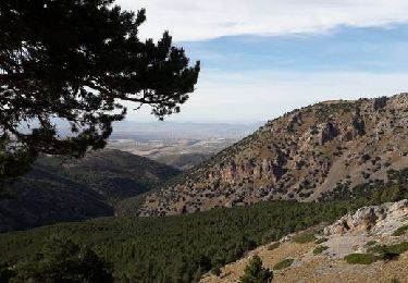 Tocht Moto-cross Almuñécar - Garrucha Sierra de Baza La Herradura - Photo