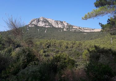 Excursión Senderismo La Valette-du-Var - LA CALABRO  Henri et Solange  - Photo