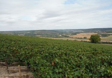 Trail Walking Château-Thierry - Château Thierry par Brasles du 03/09/2020 - Photo