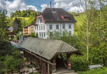 Trail On foot Luthern - LUTRUN - Photo