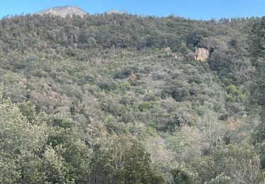 Excursión Senderismo Le Boulou - Le Boulou, chapelle saint Phillipe, mas d'en Conte - Photo