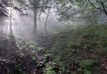 Trail Walking Soultz-Haut-Rhin - Grand ballon  - Photo