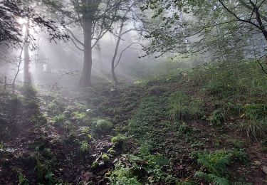 Tocht Stappen Soultz-Haut-Rhin - Grand ballon  - Photo