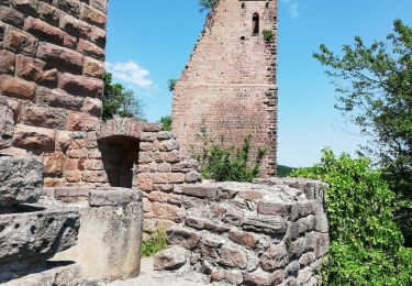 Randonnée Marche Husseren-les-Châteaux - Marbach- Col de Stauffen- Husseren 3 Chateaux Marbach à pied - Photo