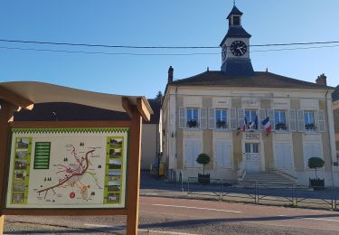 Trail Walking Montreuil-aux-Lions - Montreuil -aux-Lions ADR - Photo