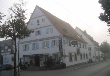 Tocht Te voet Zusmarshausen - Rund um den Kellerberg - Photo