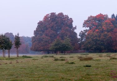 Tour Zu Fuß Dülmen - Haus Waldfrieden Rundweg A6 - Photo