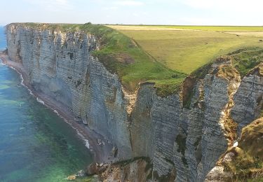 Tocht Stappen Étretat - Etretat Bénouville  - Photo