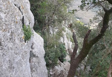 Excursión Senderismo Mas-de-Londres - 34 pic st loup par vire nord - Photo