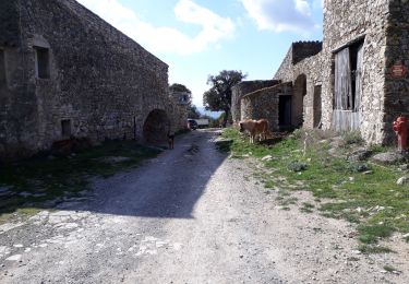 Tocht Stappen Puéchabon - Balcons de l'Herault - Photo