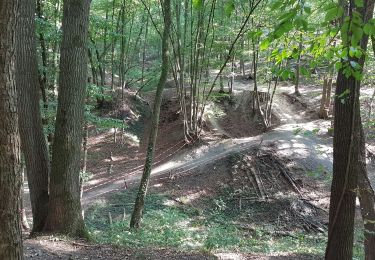 Trail Walking Amay - bois Amay Colruyt  - Photo