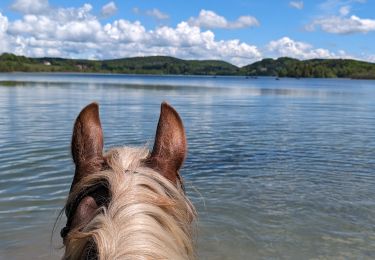 Percorso Equitazione Menétrux-en-Joux - suuntoapp-HorsebackRiding-2024-05-19T07-42-52Z - Photo