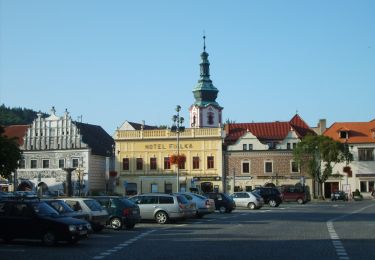 Excursión A pie Sušice - NS Sušická pavučina - zelená - Photo