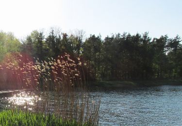 Randonnée A pied  - Sandglöckchenweg - Photo